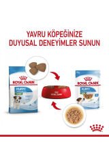 Küçük Irklar için Yavru Yaş Köpek Maması 12 x 85g