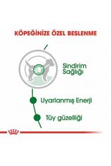 Küçük Irklar için Yetişkin Yaş Köpek Maması 12 x 85g