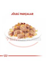 Sterilised Jelly Kısırlaştırılmış Yetişkin Kedi Yaş Maması 85 Gr x 12