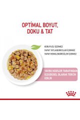 Kitten Jelly 85 Gr 12 Adet