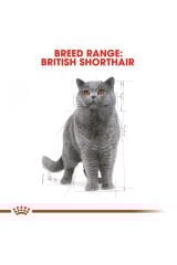 British Shorthair için Yaş Kedi Maması 12 x 85g