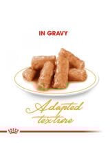 British Shorthair için Yaş Kedi Maması 12 x 85g