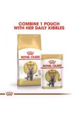British Shorthair için Yaş Kedi Maması 12 x 85g
