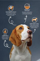 Kuzu Etli ve Pirinçli Yetişkin Köpek Maması 15 kg