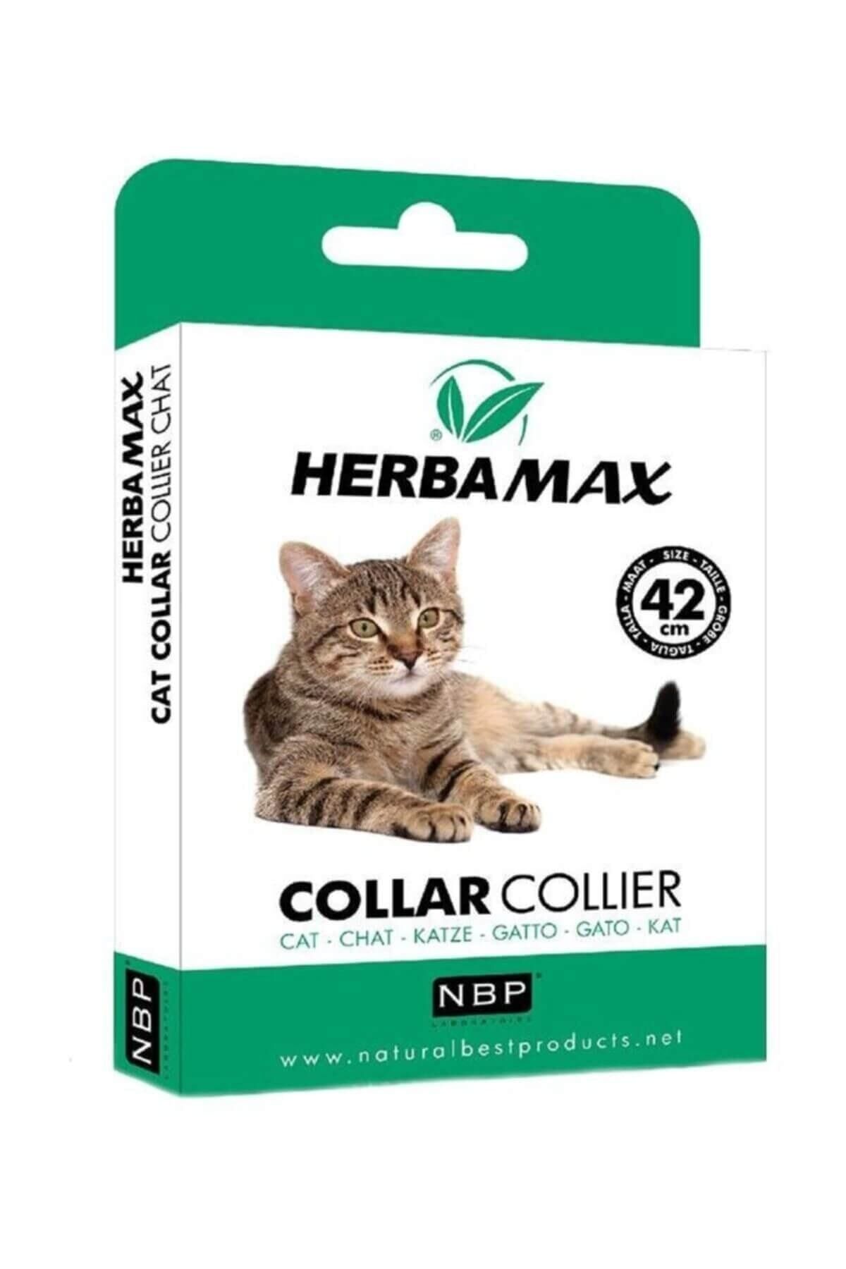 Kediler Için Doğal Pire Tasması 42 Cm