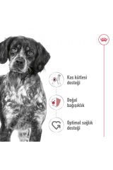 Medıum Adult Orta Irklar Için Yetişkin Kuru Köpek Maması 15 Kg