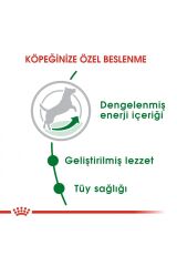 Mini Adult Küçük Irklar Için Yetişkin Kuru Köpek Maması 4kg