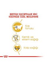 British Shorthair Için Kuru Kedi Maması 10kg