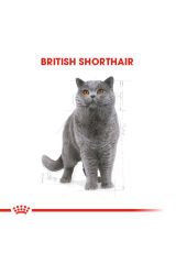 British Shorthair Için Kuru Kedi Maması 10kg