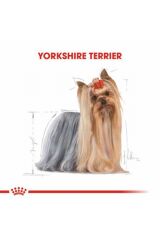 Yorkshire Terrier Adult Yetişkin Köpek Maması 1,5 Kg