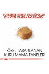 Yorkshire Terrier Adult Yetişkin Köpek Maması 1,5 Kg