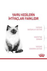 Kitten Yavru Kediler Için Kuru Kedi Maması 400g
