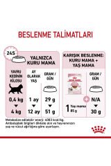 Kitten Yavru Kediler Için Kuru Kedi Maması 400g