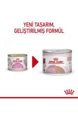 Mother&babycat Gebe/laktasyondaki Anne Ve Yavru Kedi Için Kedi Konservesi 195g