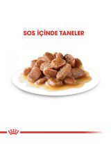 Instinctive Yaş Kedi Maması 12 x 85g