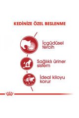 Instinctive Yaş Kedi Maması 12 x 85g