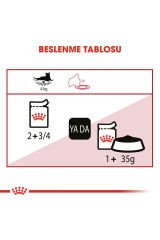 Instinctive Yaş Kedi Maması 12 x 85g