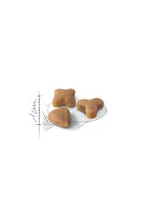 Sensible33 Sindirim Hassasiyeti Olan Kediler Için Yetişkin Kuru Kedi Maması 15kg