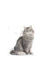 Sensible33 Sindirim Hassasiyeti Olan Kediler Için Yetişkin Kuru Kedi Maması 15kg