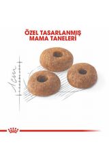 Fit 32 Adult Yetişkin Kedi Maması 15 Kg