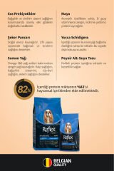 Plus Hipoalerjenik Mini ve Küçük Irklar için Somonlu Yetişkin Köpek Maması 3 kg