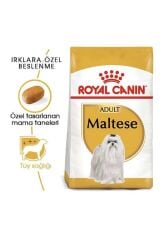 Maltese Terrier Adult Yetişkin Köpek Maması 1.5 Kg