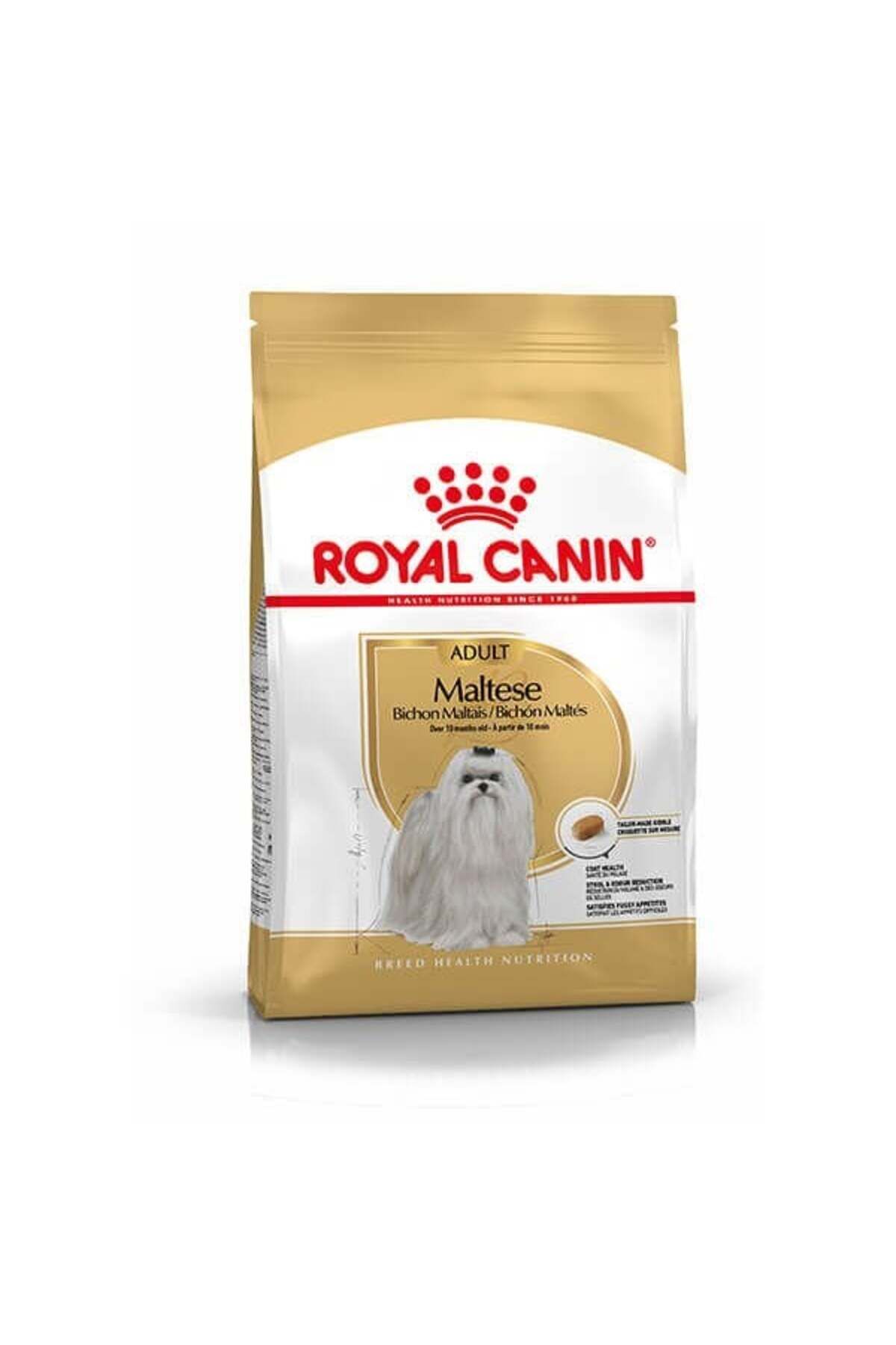 Maltese Terrier Adult Yetişkin Köpek Maması 1.5 Kg