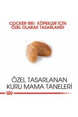 Cocker Spaniel Adult Yetişkin Köpek Maması 3 Kg