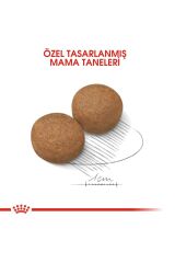 Maxi Adult Büyük Irklar Için Yetişkin Kuru Köpek Maması 15 Kg