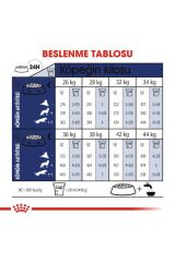 Maxi Adult Büyük Irklar Için Yetişkin Kuru Köpek Maması 15 Kg