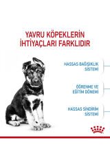 Büyük Irklar Için Yavru Kuru Köpek Maması 15kg