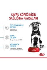 Büyük Irklar Için Yavru Kuru Köpek Maması 15kg