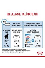 Büyük Irklar Için Yavru Kuru Köpek Maması 15kg
