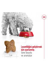 Küçük Irklar Için Yetişkin Kuru Köpek Maması 2kg