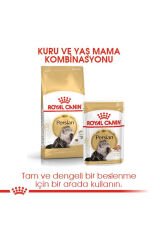 İran Kedisi Için Kuru Kedi Maması 2kg