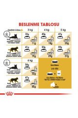 İran Kedisi Için Kuru Kedi Maması 2kg