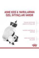 Mother&babycat Gebe/laktasyondaki Anne Ve Yavru Kedi Için Kuru Kedi Maması 2kg