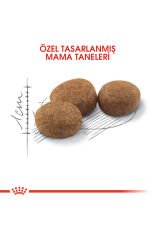 Sterilised 37 Kısırlaştırlmış Kedi Maması 4 kg