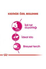 Exigent Savour Seçici Yetişkin Kedi Maması 10 Kg