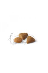 Exigent Seçici Kediler Için Kuru Kedi Maması 2kg