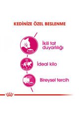 Exigent Seçici Kediler Için Kuru Kedi Maması 2kg