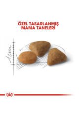 Exigent Seçici Kediler Için Kuru Kedi Maması 2kg