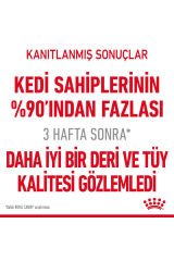 Hair&skin Tüy Ve Deri Sağlığı Için Kuru Kedi Maması 2kg