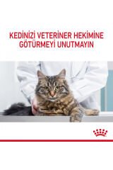 Hair&skin Tüy Ve Deri Sağlığı Için Kuru Kedi Maması 2kg