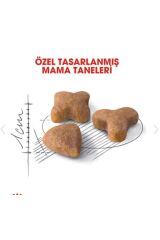 Sensible 33 Hassas Sindirim Sistemi Destekleyici Kedi Maması 4kg