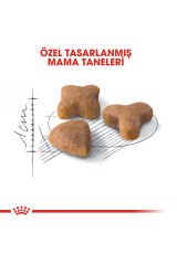 Sensible33 Sindirim Hassasiyeti Olan Kediler Için Yetişkin Kuru Kedi Maması 2kg