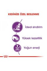 Sensible33 Sindirim Hassasiyeti Olan Kediler Için Yetişkin Kuru Kedi Maması 2kg