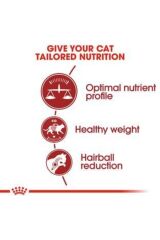 Fit 32 Yetişkin Kedi Maması 4 Kg