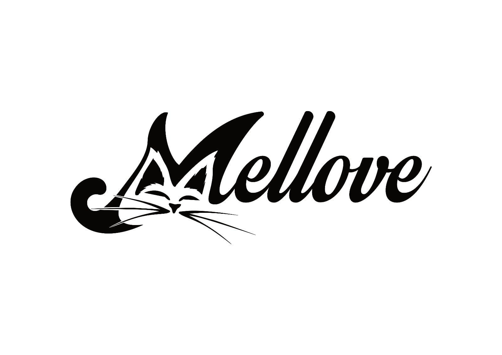 Somonlu Sterilised Kısırlaştırılmış Hypoallergenic Az Tahıllı Kedi Maması 2 Kg